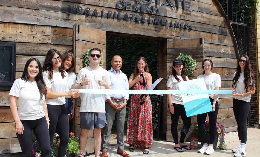 Image 7: Pilates, Yoga, & Wellness Movement Classes in Chicago, Illinois