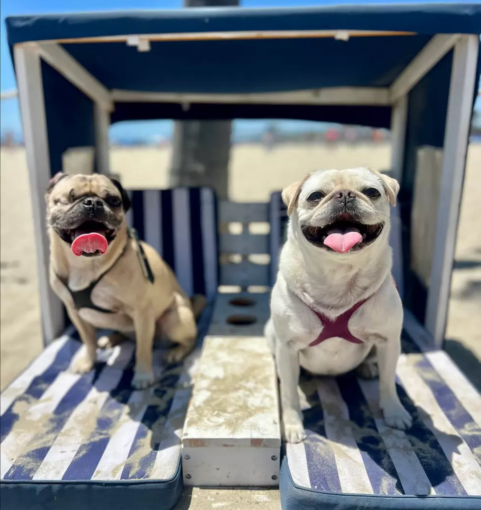 Beachside Fun w/ Sunbed Lounge Packages, Paddle Board Adventures/ More