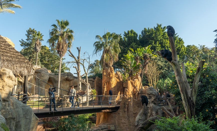 Image 6: Entrada nocturna a Bioparc Fuengirola con cena para niño o adulto
