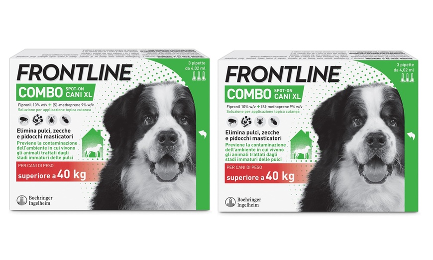 Image 3: Fino a 9 pipette Frontline Combo Spot-On per cani