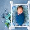 Image 6: Newborn Photography: Get a Standard, Deluxe or Solo Collection