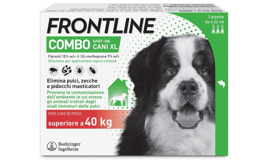 Image 1: Fino a 9 pipette Frontline Combo Spot-On per cani