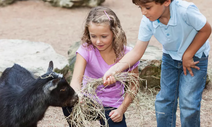 Image 11: Experience Hills Easter Show Experience: Fun for All Ages, April 18-21