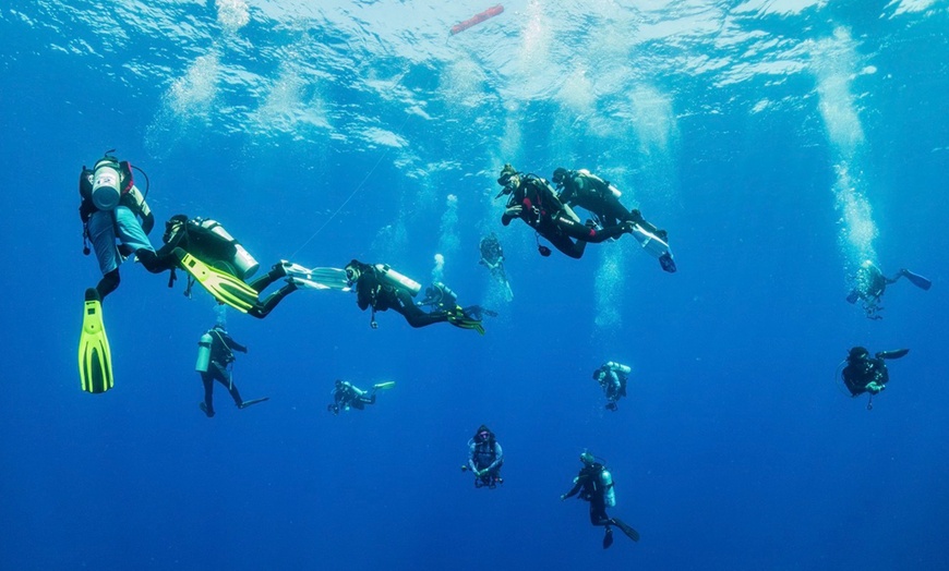 Image 15: Bautizo de buceo o excursión snorkel con fotos 