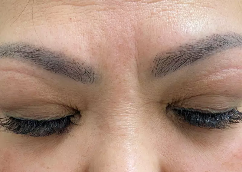 Renew with 1, 2 Eyebrow Tinting Sessions,Brow Lamination, & More
