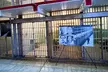 Dive into the adventure with A Taste of SF Tours' Alcatraz + Muir Woods & Sausalito Tour for Up to Four Up to  18% Off  - Second Medium