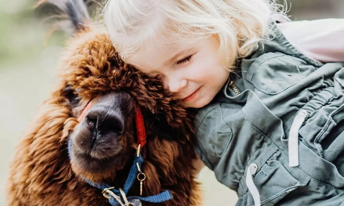 30-Min Alpaca VIP Experience: Alpaca w/ Lanyard & $5 Voucher for 1-6