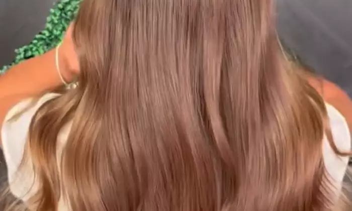 Refresh your Look with Haircut with Blow-dry, Style, Color, or More