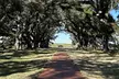 Plantation Tours for One or Two for up to 37% Off at Crescent City Tours & Transportation - Second Medium