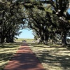 Image 5: New Orleans Plantation & City Tours – Explore History
