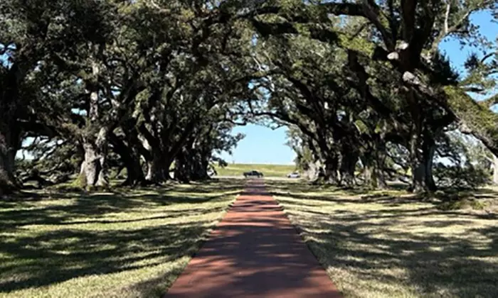 Plantation Tours for One or Two