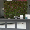 Image 5: Up to 49% Off on Eyelash Tinting at Pixie sugar wax 