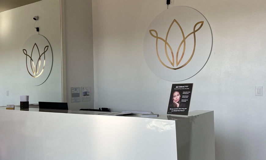 Image 3: B-12 or MIC + B12 Vitamin Injections – Single or Five Session Options