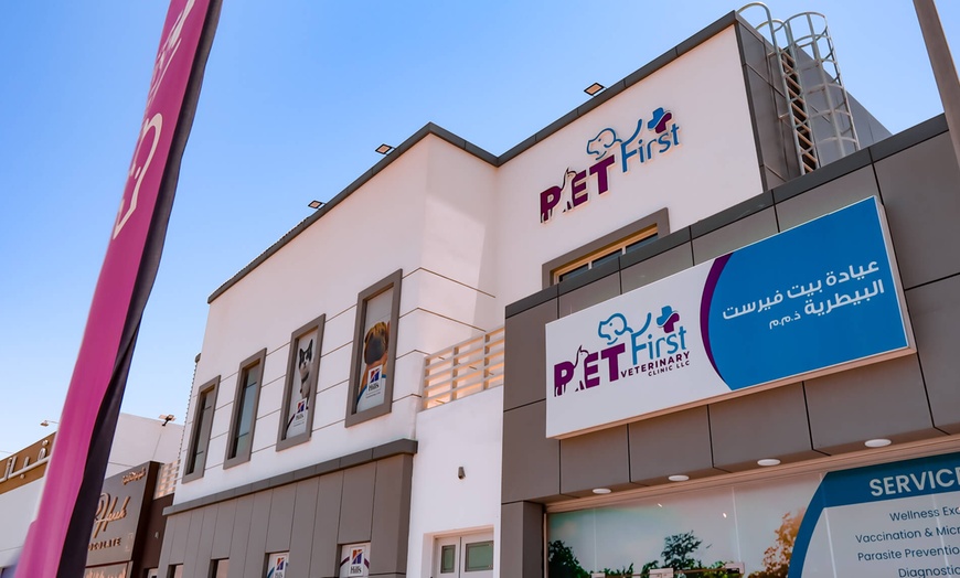 Image 17: Dog / Cat Grooming from Best Veterinary Clinic in the UAE Award Winner