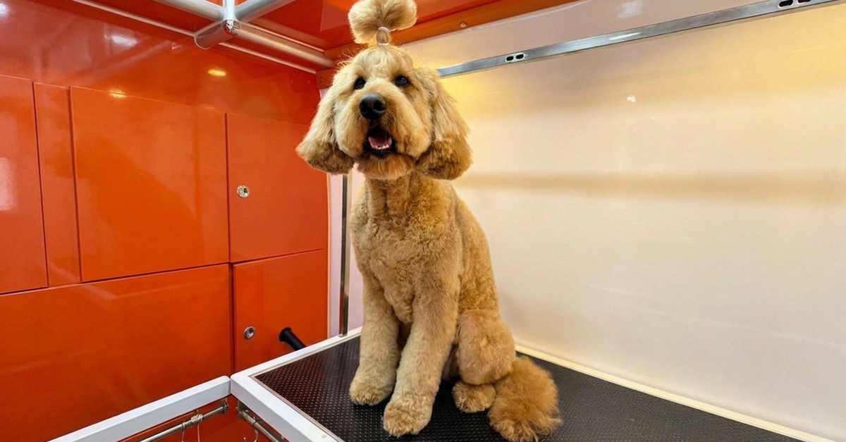 Mobile Pet Grooming At Your Doorstep: Hassle-free Care For All Pets Mobile Pet Grooming At Your Doorstep: Hassle-free Care For All Pets