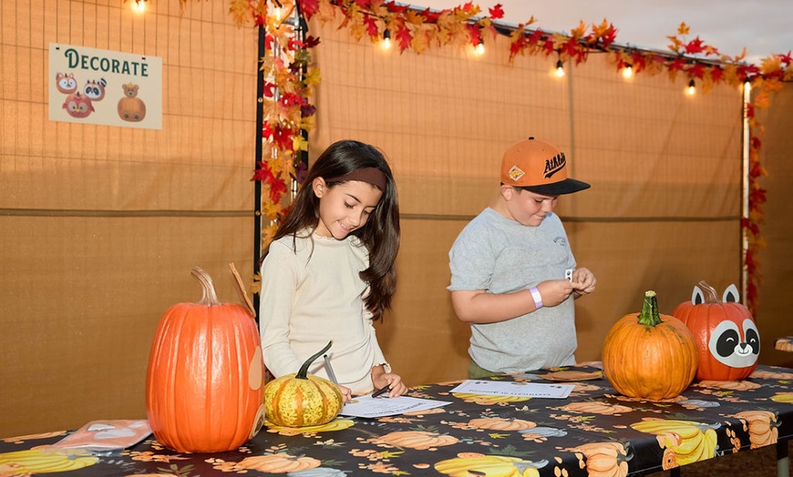 Image 13: The Desert Fall Festival (September 26 - November 1)