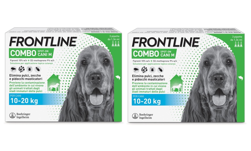 Image 7: Fino a 9 pipette Frontline Combo Spot-On per cani