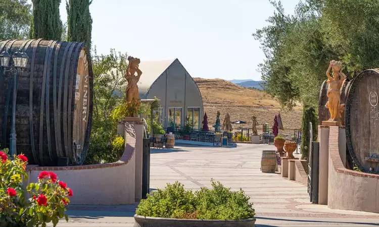 Wine Cave Tasting Experience with Scenic Vineyard Views