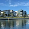 Image 6: Westshore Marina District Guided Kayak & Standup Paddleboard Rentals