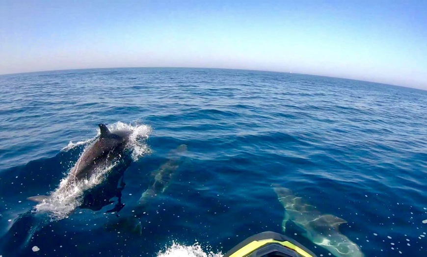 Image 5: Randonnées en jet-ski sensationnelles sur la Côte d’Azur