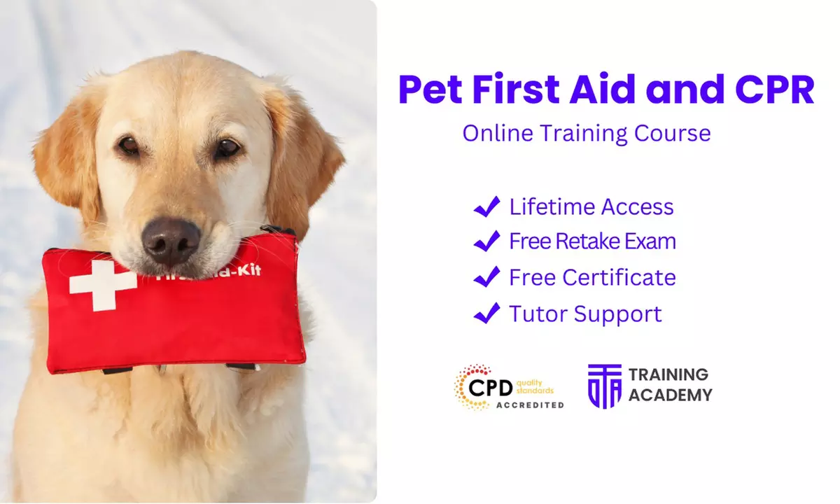 Up to 91% Off Pet First Aid and CPR at Online Training Academy - Primary Image