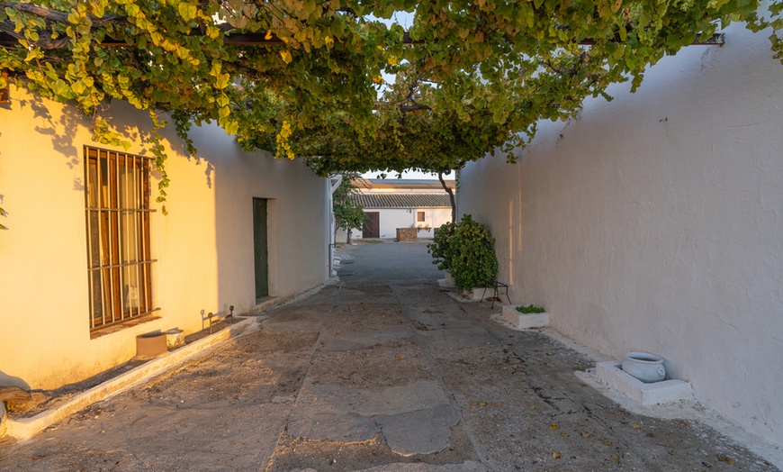 Image 3: Visita a bodega y cata de 5 vinos premiados o almuerzo/cena para 2 o 4