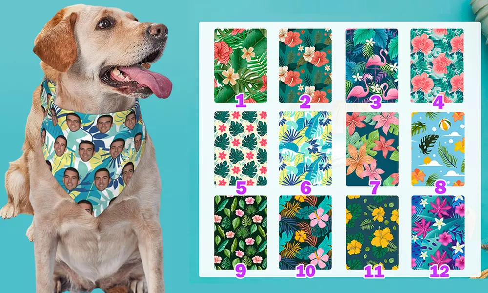 Custom Pet Fashion – Pawsome Style & Comfort Tailored Just for Them