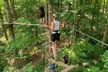 Treetop Quest Philly: Aerial Adventure and Zipline Experience with Gloves for One to Six People in Fairmount Park - Image 3