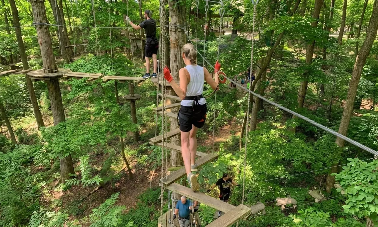 Treetop Quest Philly - Aerial Adventure & Ziplines for upto Six People