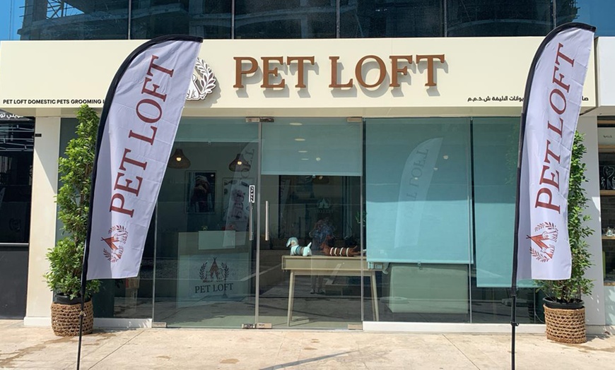 Image 1: Get Cat or Dog Bath & Blow (Wash, Blow-dry, Nail Trim ) + One Add On
