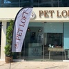 Image 1: Get Cat or Dog Bath & Blow (Wash, Blow-dry, Nail Trim ) + One Add On