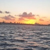 Image 2: BYOB Newport Harbor Cruise 1-Hr or 2-Hr Private Tour, Licensed Captain