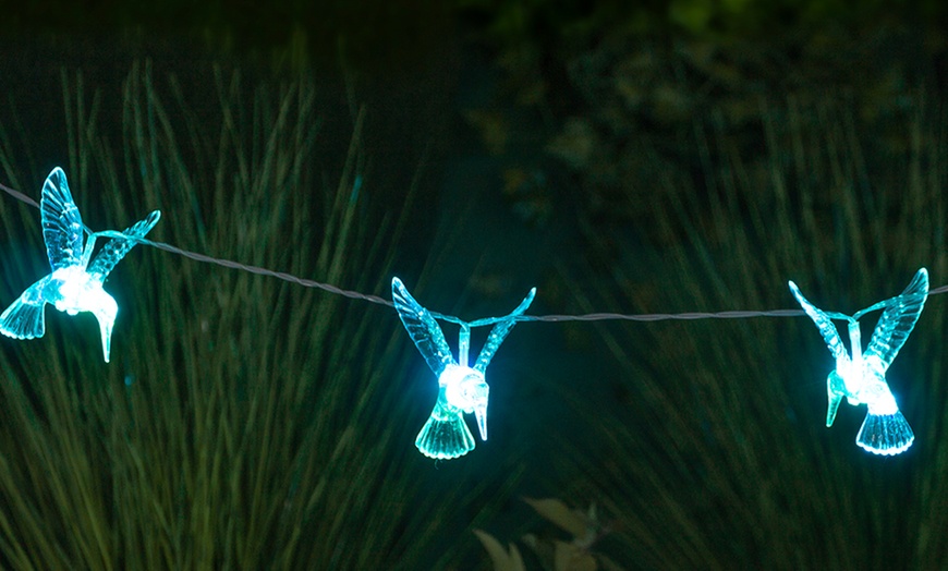 Image 5: Globrite Bird Solar String Lights