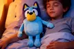Plush Stuffed Toy – Various Characters and Features - Image 6