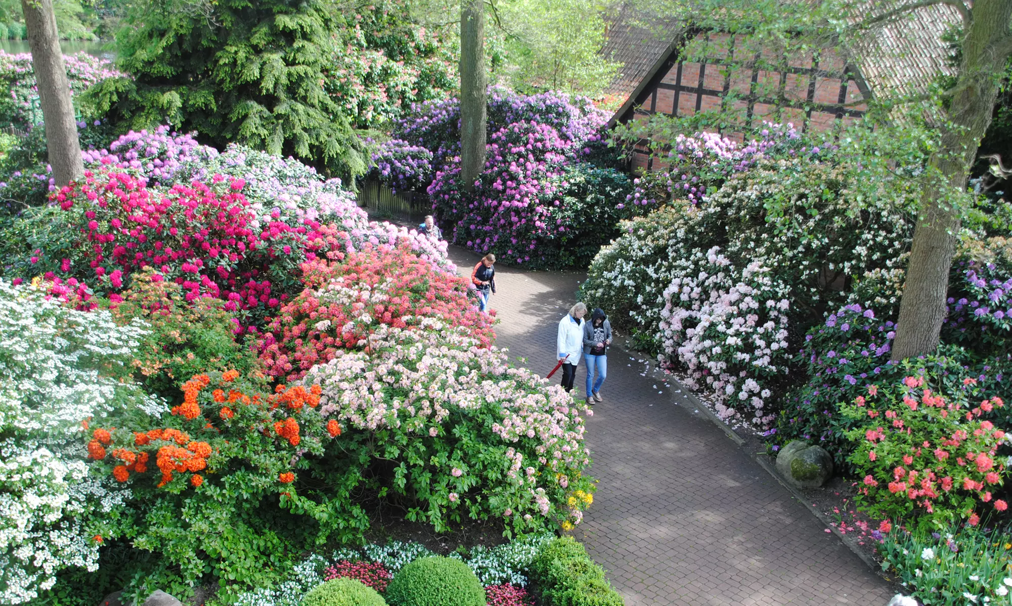 Saisonkarte Gold Weltvogelpark Walsrode