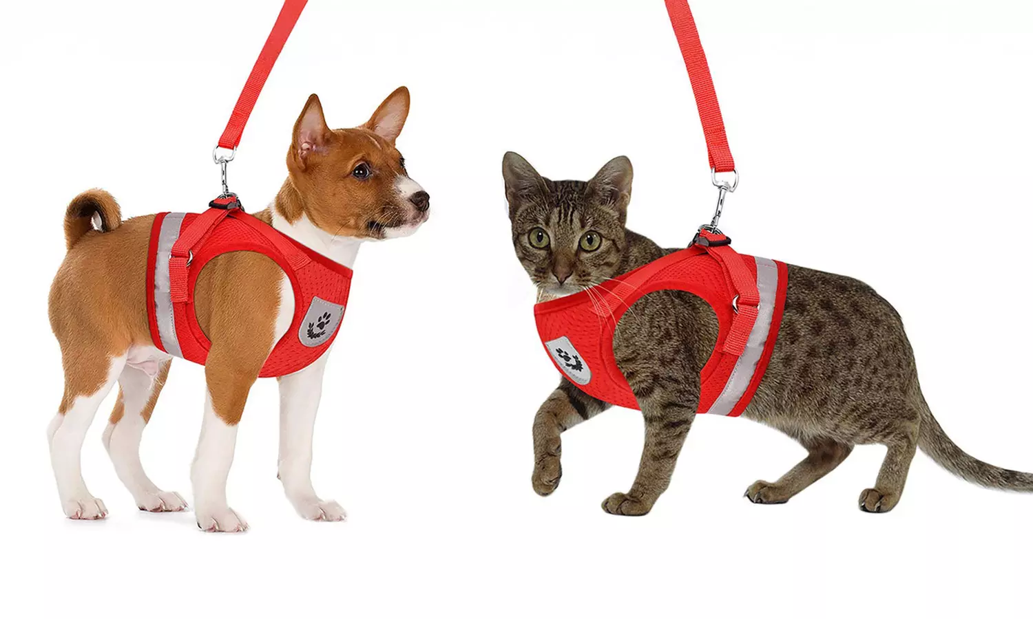 No-Pull Hand Strap Dog Cat Vest With Dog Leash Pet Collar Adjustable Harness