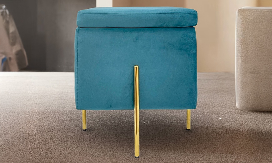 Image 8: Pouf contenitore in velluto