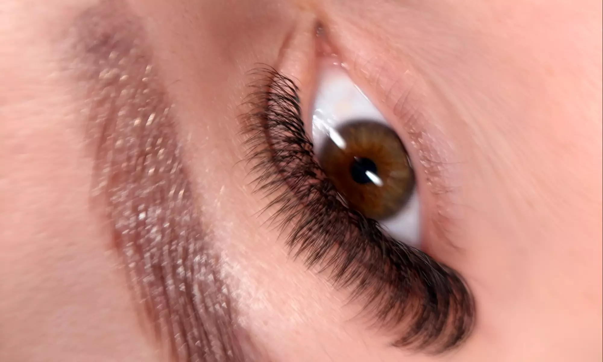 Ein vollständiges Set Volumen-Wimpernverlängerung für 1 Person