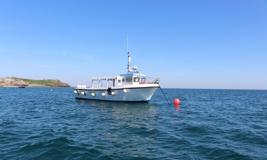 Image 4: Seal-Dolphin Spotting & Godrevy Lighthouse Trip-Upto 4 Adults & 2 Kids