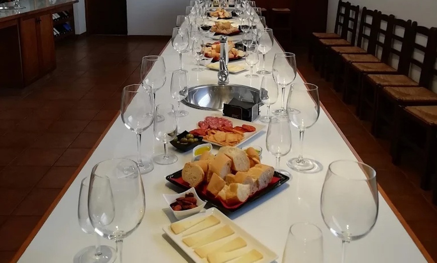 Image 13: Visita a Bodegas Las Virtudes con cata para 2 o 4 personas