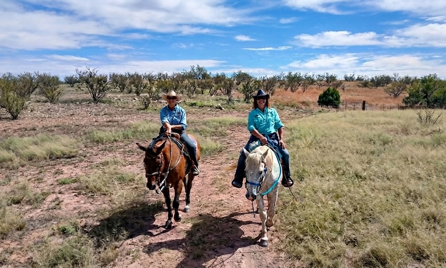 Image 2: Scenic Trail Rides at Double R Ranch – All Skill Levels Welcome