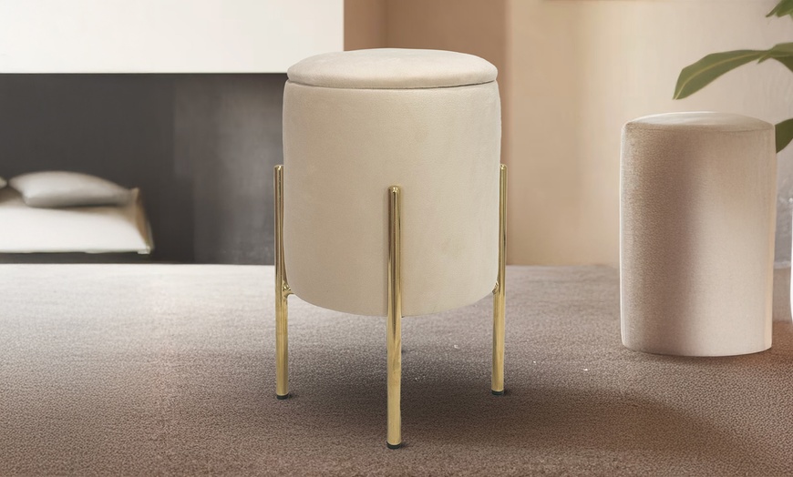 Image 7: Pouf contenitore in velluto