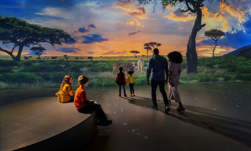 Image 5: Illuminarium Atlanta: Immersive All-Access Day Pass for One