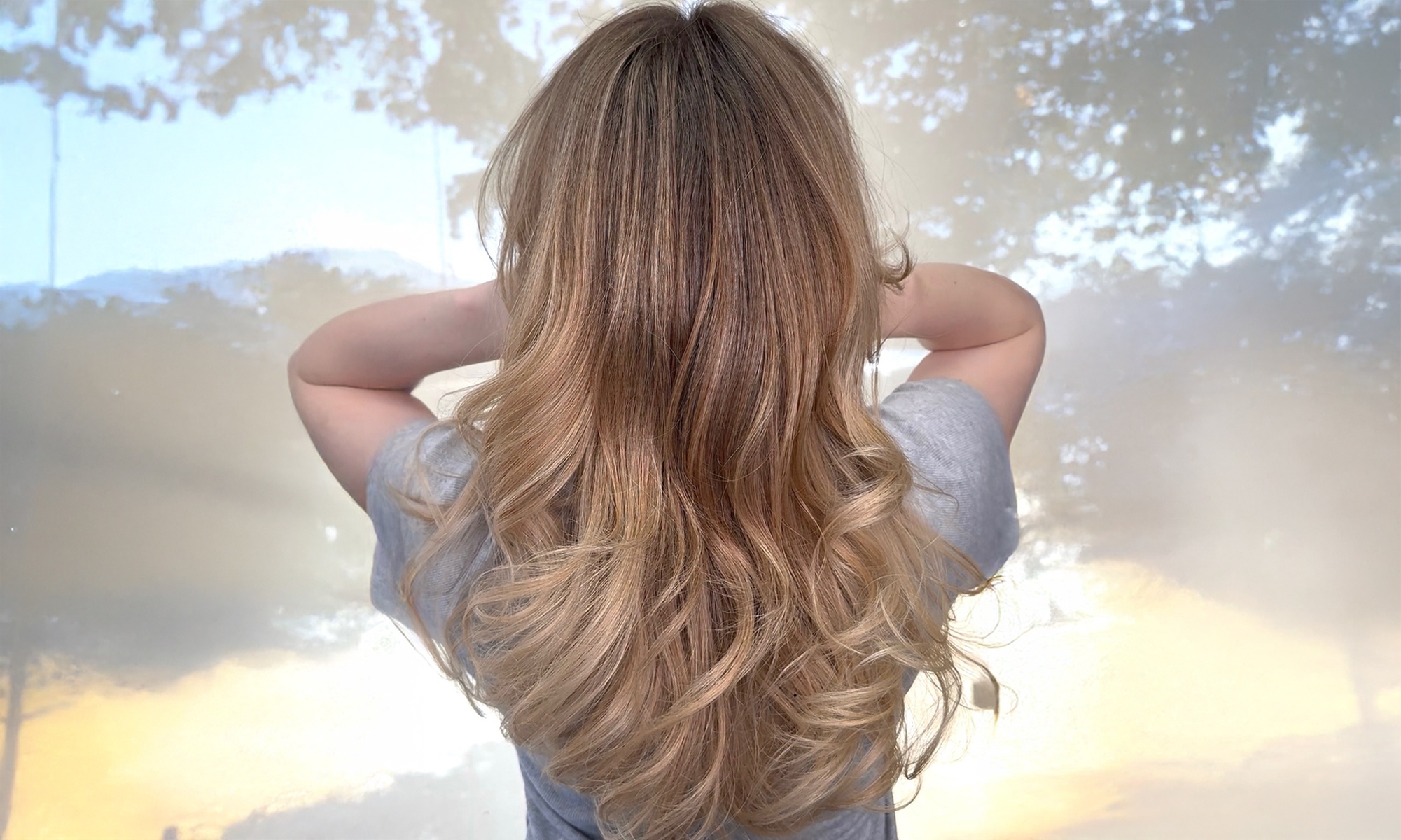 Complete Hair Revival — Cut, Color & Deep Conditioning Packages