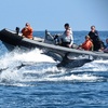 Image 4: Whale Watching Tours – Small Groups, Fast Boats