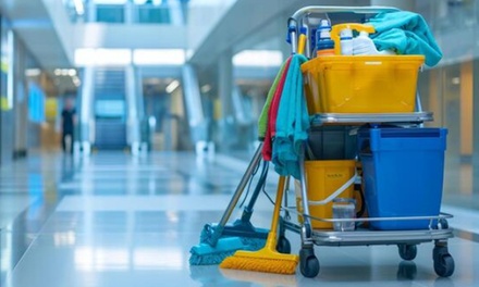 Domestic cleaning (1-Bedroom Apartment/House) - Agempire