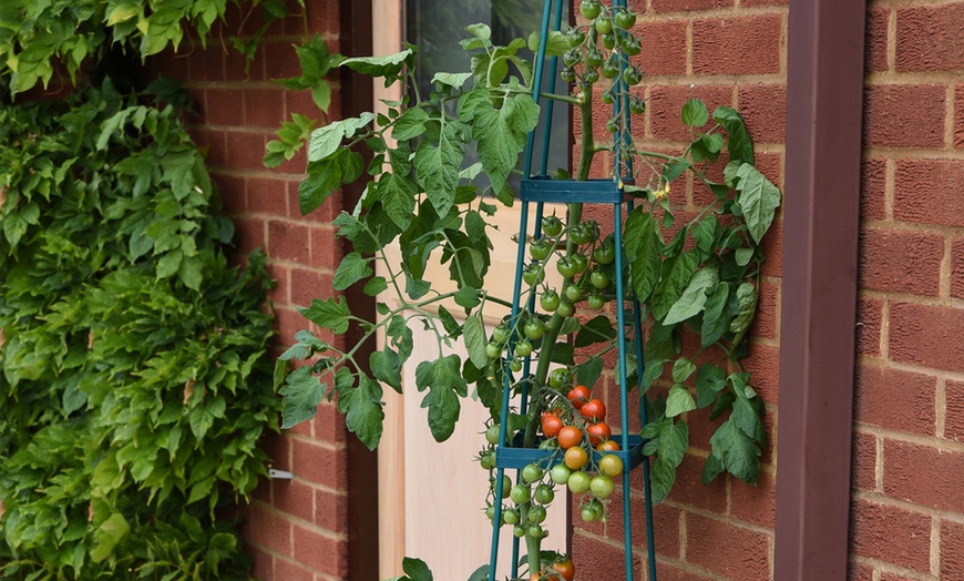 Image 3: Self-Watering Four-Tier Tomato Tower