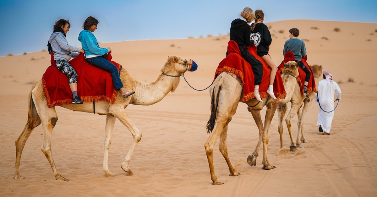 Half-day Desert Safari: 1, 2, 4 Persons With Vip Mrng Or Evng Option Half-day Desert Safari: 1, 2, 4 Persons With Vip Mrng Or Evng Option