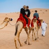 Image 15: Half-Day Desert Safari: 1, 2, 4 Persons with VIP Mrng or Evng Option