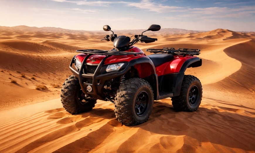Image 11: Dive into Adventure: VIP Seating, 45-Min Dune Bashing & Falcon Photo